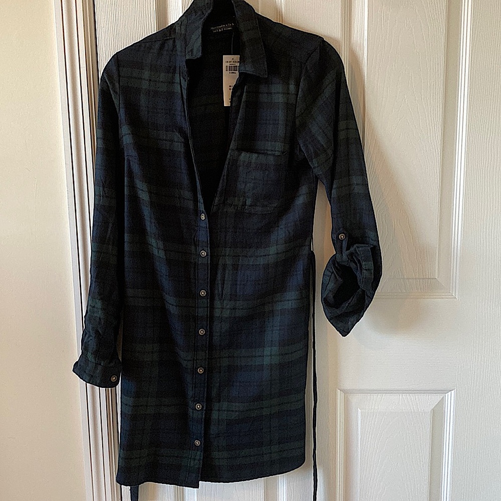 Abercrombie Women’s Flannel Mini-Dress (blue and green plaid)